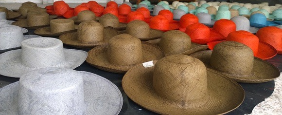 panama hats