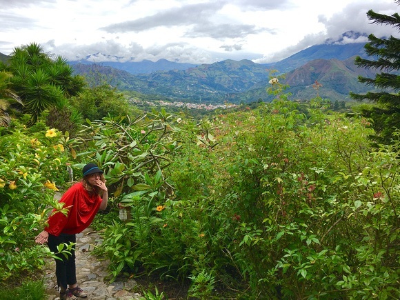 The Andes near Vilcabamba