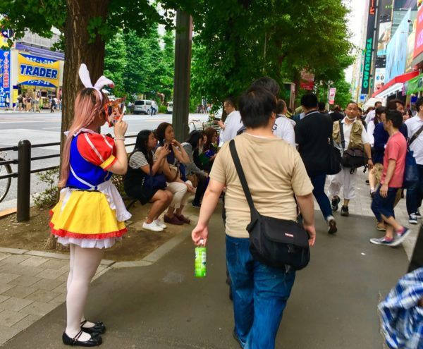 Akihabara maid snow white