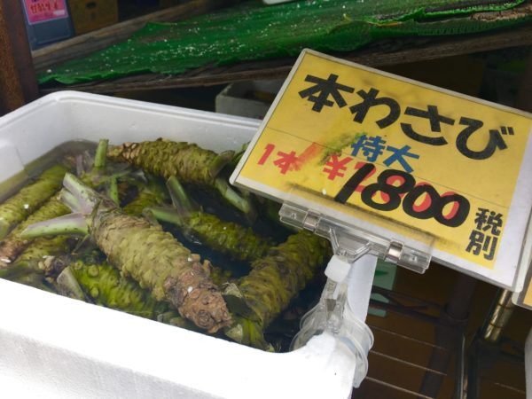 fresh wasabi