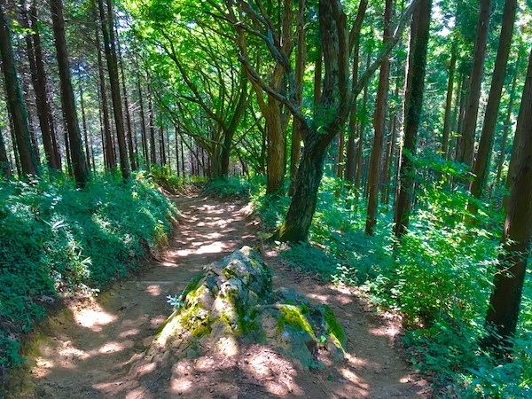 Mount Takao trails on Takao mountain Japan