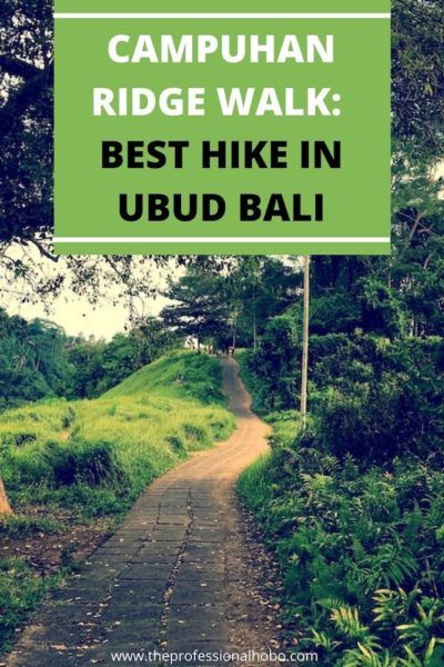 Here's why Campuhan Ridge Walk is the best hike in Ubud Bali, with tips for how to find it and what to see. #Ubud #Bali #Campuhan #Campuhanridgewalk #Balihikes #travelhiking #TheProfessionalHobo