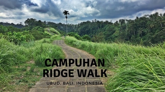 Campuhan Ridge Walk in Ubud Bali