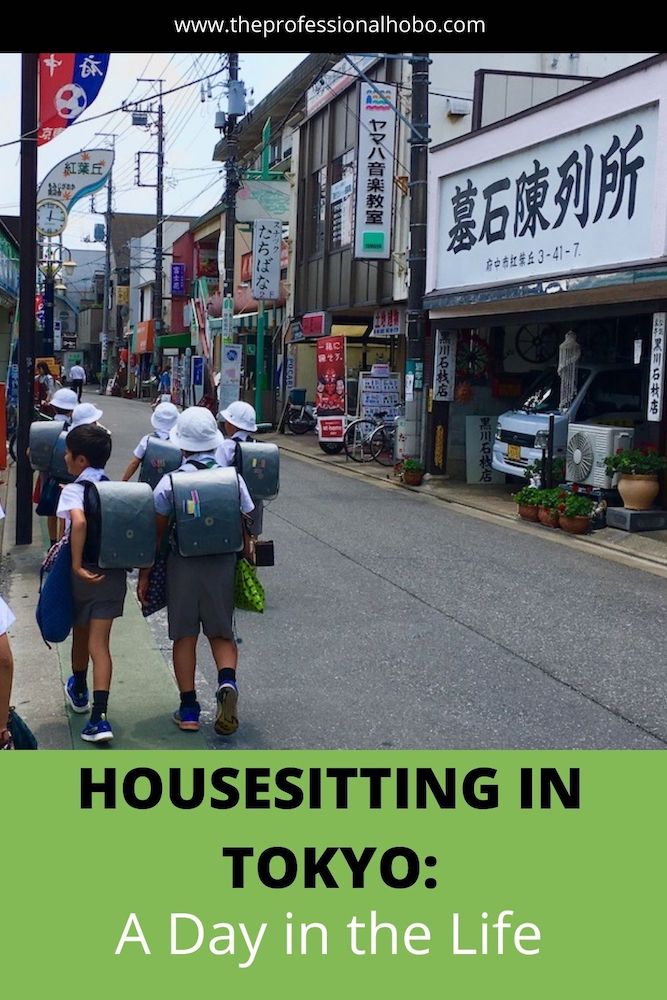 Housesitting in Tokyo - here's a day in the life of my 2-month house-sitting gig in a suburb of Tokyo! Humour included. #travelstories #housesitting #TheProfessionalHobo #Japan #Tokyo #humour #longtermtravel 