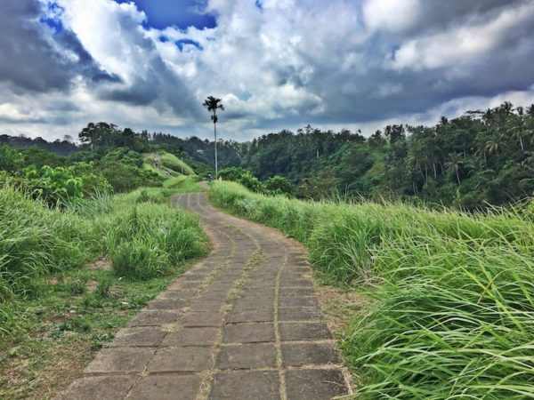 Campuhan ridge walk in Ubud