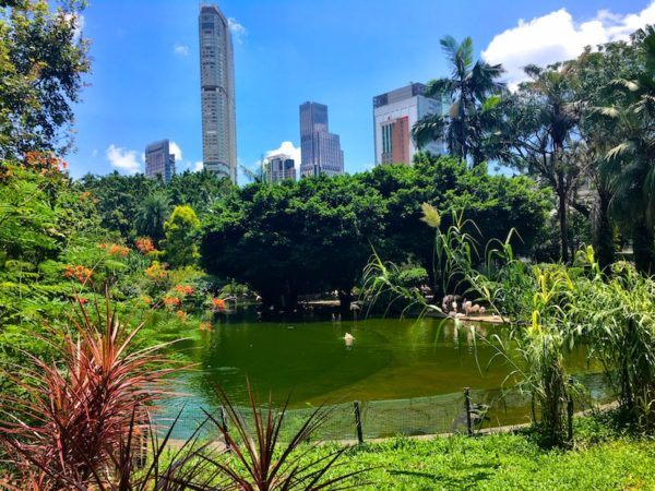 Kowloon park in Hong Kong