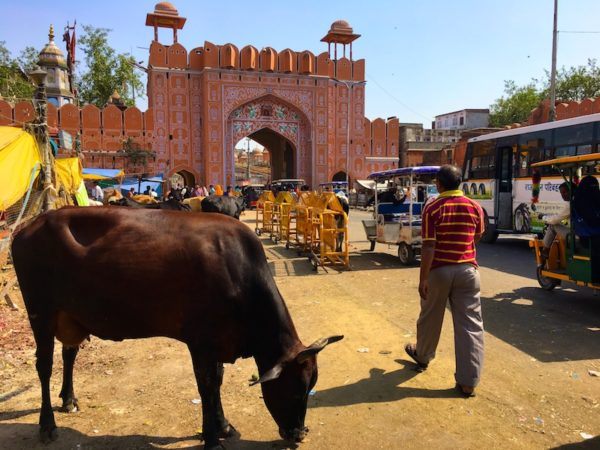 entrance to the Pink City in Jaipur