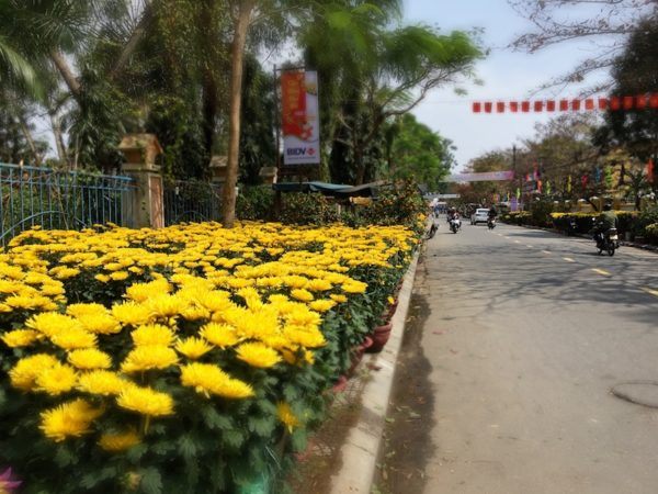 Hoi An during Tet - sidewalks full of flowers