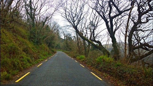 One Lane Road with Mossy Hill and bare trees - learning rules for travel