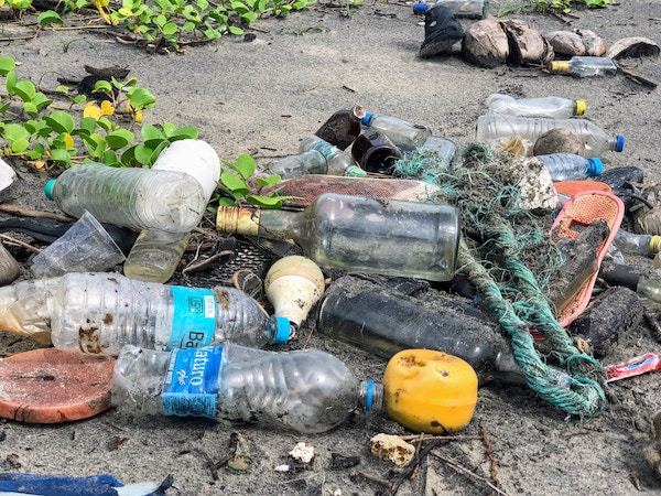 plastic garbage washed up on the beach - all the more reason for a single use plastic ban