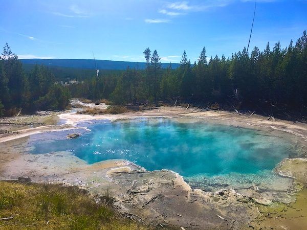 Emerald Spring, at Norris Geyser Basin in Yellowstone