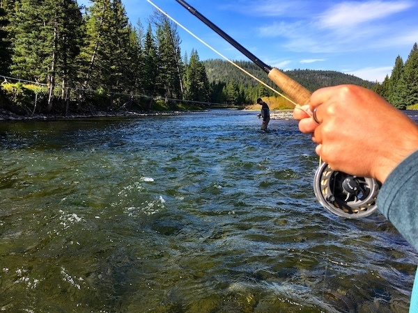 Fly Fishing on the Gallatin River Montana