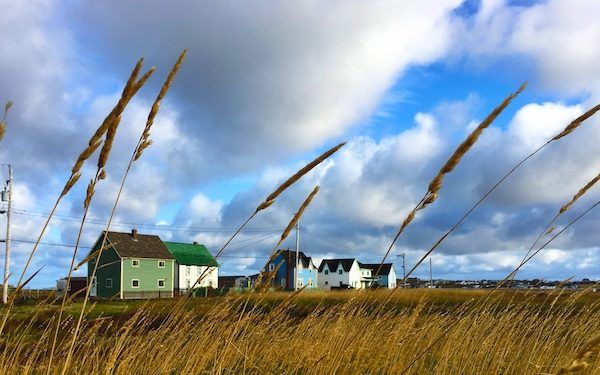 Bonavista near Trinity Newfoundland, with dried grasses in front of colourful houses