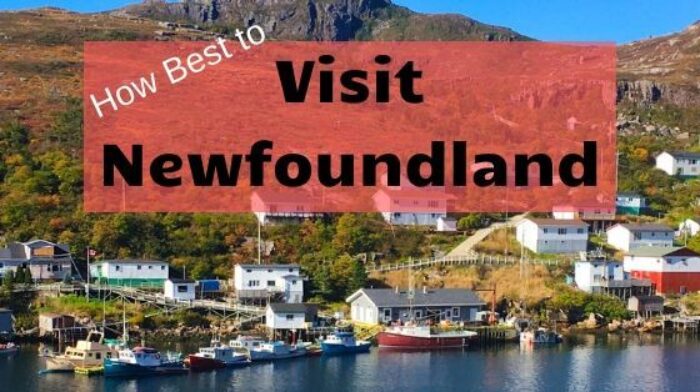 This is the Best Way to Visit Newfoundland