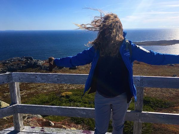 Red Bay Labrador at the lookout