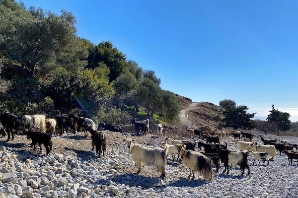 imbros gorge