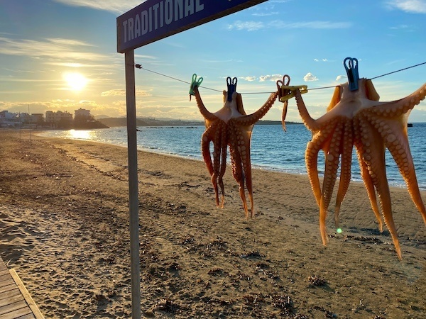 Octopus hanging out to dry on beach in sunset. Eat delicious food at the best restaurants and cafes in Chania! 