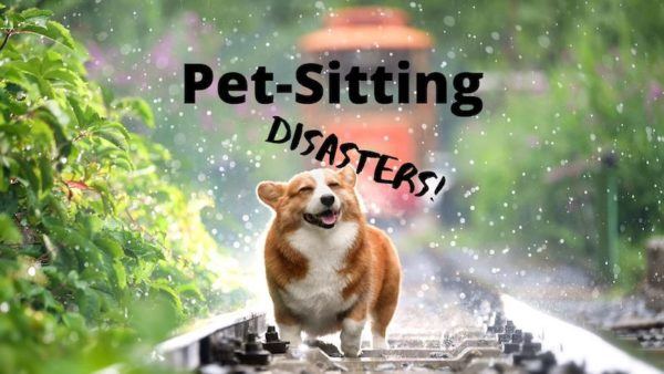 Pet-Sitting Disasters
