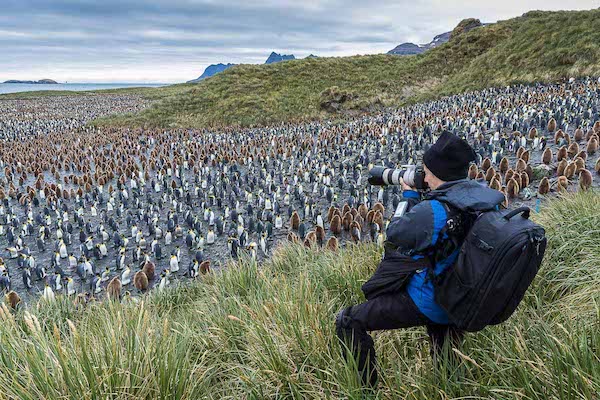 Susan Portnoy on freelance travel writing assignment for Newsweek on an Antarctic Cruise