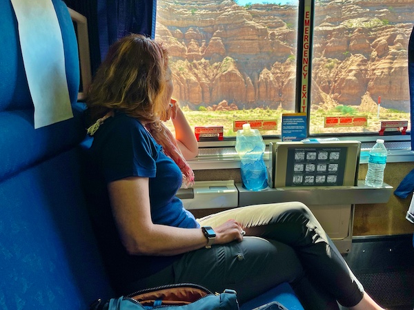 The Professional Hobo Nora Dunn on a train
