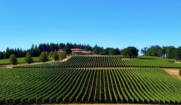 Willamette wine region
