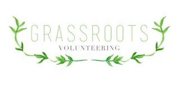 Grassroots volunteering